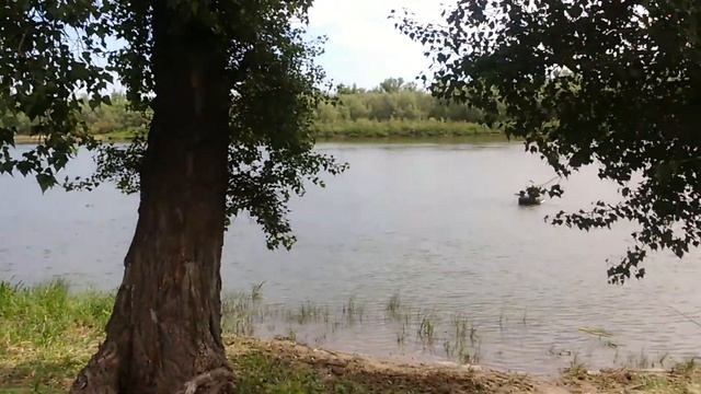 РЫбалка на дону 2017г 1