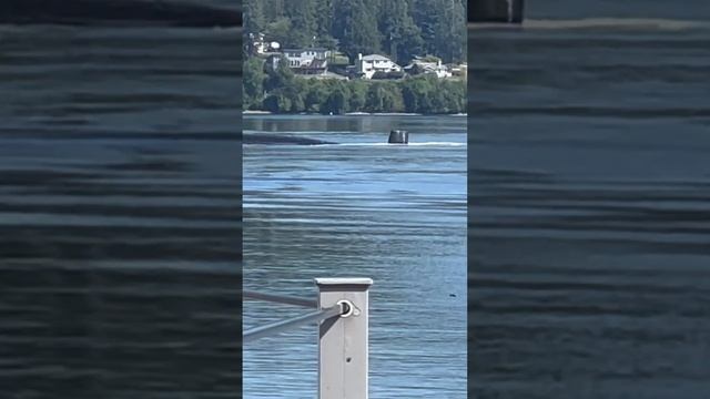 Подводная лодка США