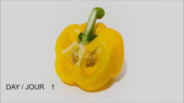 Продукция VirusStop ES-012 надежная защита Ваших продуктов! смотреть онлайн