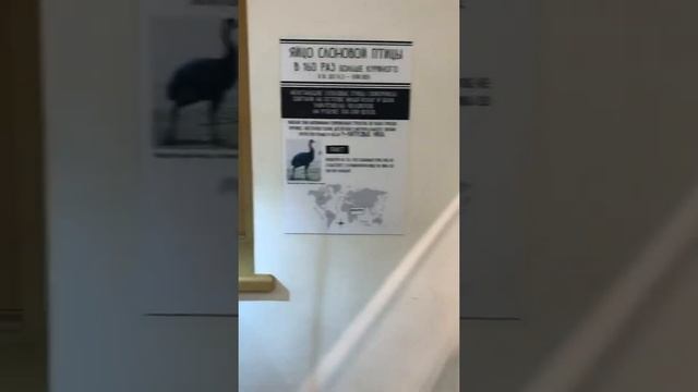 МУЗЕЙ ТИТИКАКА смотреть онлайн