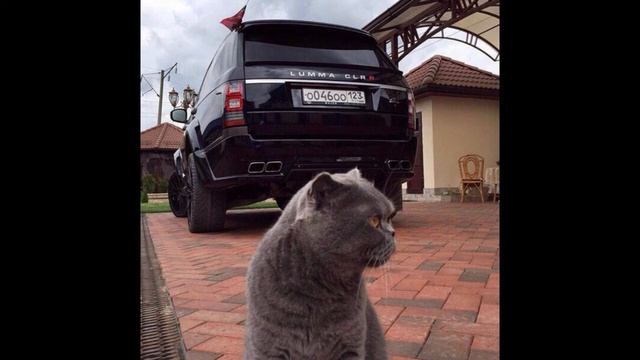 Alkatraz Скриптонит-Танцуй 2020 (remix) смотреть онлайн