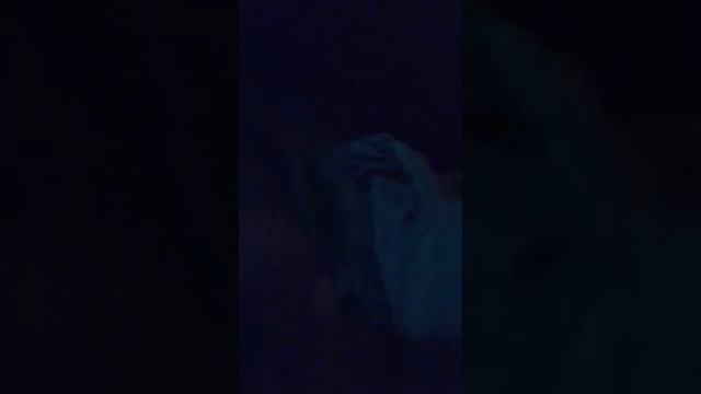 Поездка в Солнечногорск)))