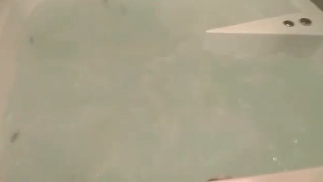 VID 20170407 WA0003 смотреть онлайн