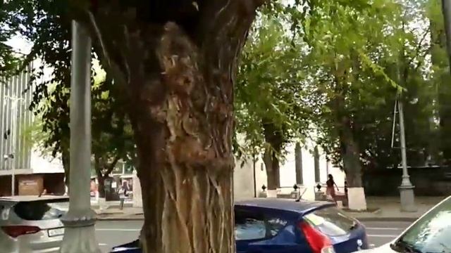 Екатериненский сквер смотреть онлайн