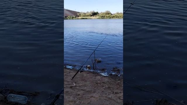 Рыбалка в Астраханской области....в ожидании рыбы смотреть онлайн