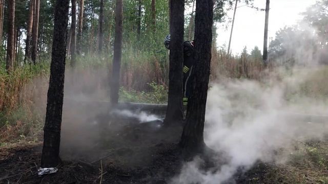 Пожар на лыжной базе, в лесной зоне. Эльмаш (26.07.2020) смотреть онлайн