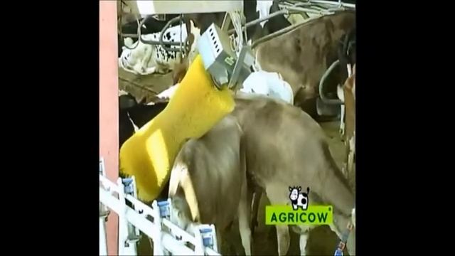 Agricow Щетки-чесалки www.agroetalon.com смотреть онлайн
