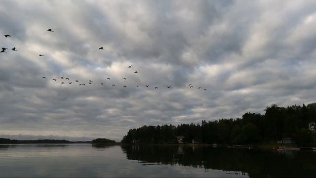 РЫБАЛКА В ХЕЛЬСИНКИ 207 смотреть онлайн