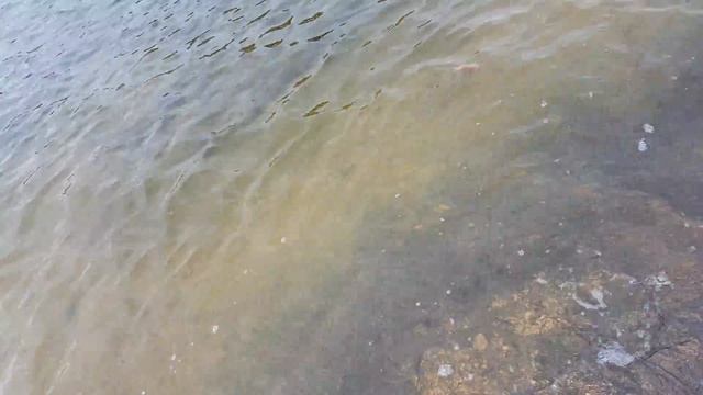 Custom lures by Stambert jerk/slider смотреть онлайн