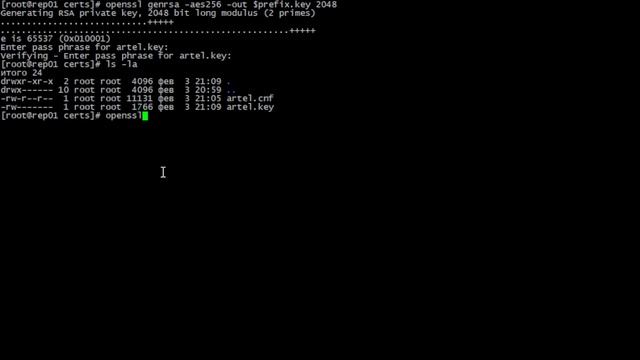 Создание самоподписанного SAN сертификата с использованием OpenSSL смотреть онлайн