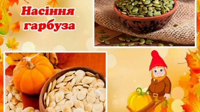 26 октября 2023 г. смотреть онлайн