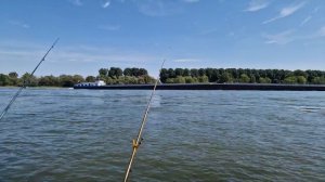 70 см угорь на бычка. Ловим угря на бычка. Рабалка на угря на реке Рейн. Видео с музыкой.