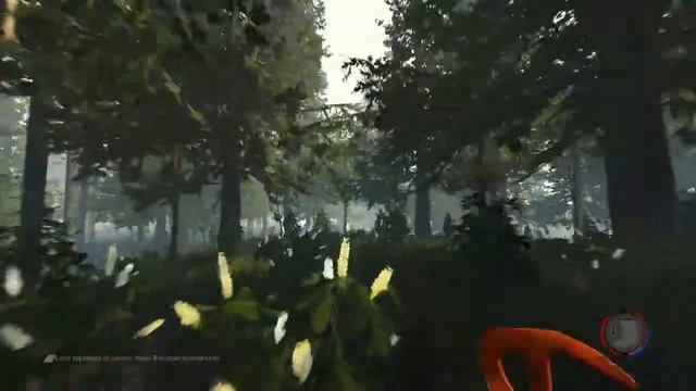 The Forest #1 Обновление 0.12 смотреть онлайн