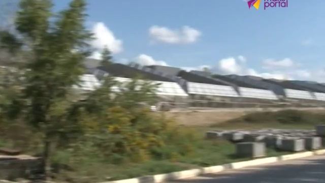 Сочинскому НИИ приматологии выделили 500 млн. рублей