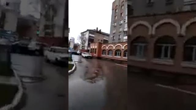 Капитан Пронин каждое слово шедевр  😂😂😂😂