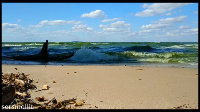 Зелёная волна./ Green wave. смотреть онлайн