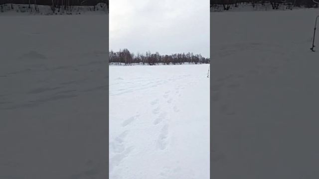 вот рыба хитрожопая не хочет клевать смотреть онлайн