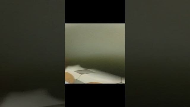 Киндер сюрприз rutube смотреть онлайн