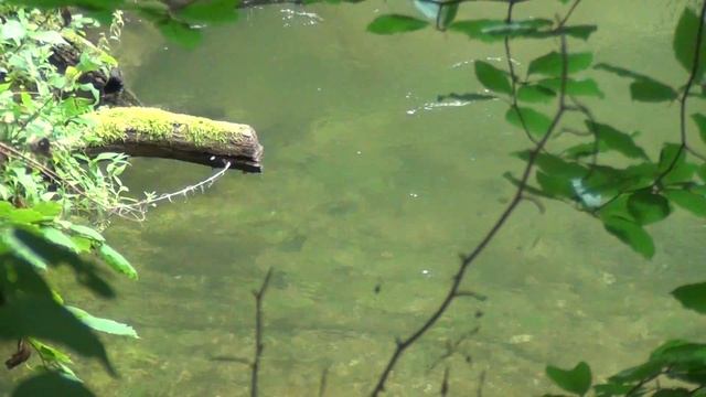 Klenie смотреть онлайн