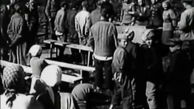 Легенды уголовного розыска   Правда о  Черной кошке