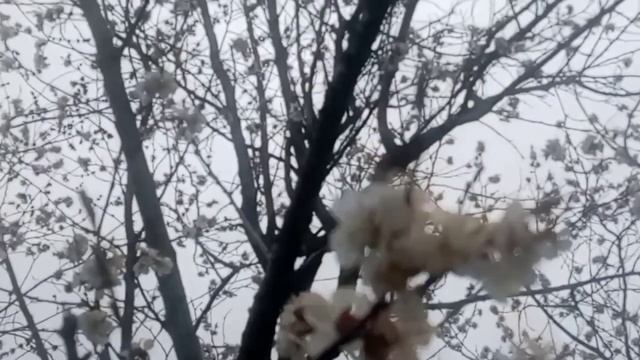 Мое питание в течении трёх дней 💕☕ | #питания