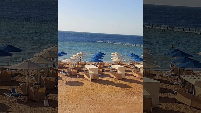 Albatros Palace Resort 5* Шарм эль шейх 2021!!! Вид из номера#египетшарм#альбатроспалас#видизномера