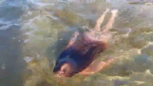 Ловлю креветок в Скадовском море ! :- D