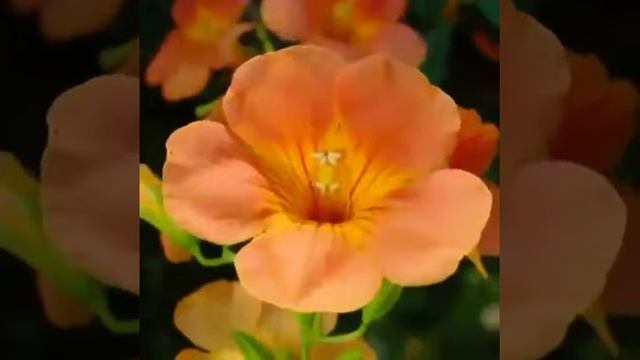 Творите добро пока есть время смотреть онлайн