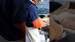 Рыбалка в океане