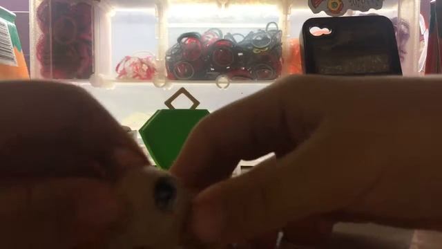 Клип: уходи дверь закрой!!! ПЕРВЫЙ КЛИП НЕ СУДИТУ ОЧЕНЬ СТРОГО!!!!! Я СТОРАЛАСЬ! Пересёмок куча!!!! смотреть онлайн