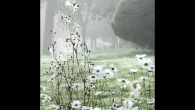 Мне звезда упала на ладошку.Александр Дольский смотреть онлайн