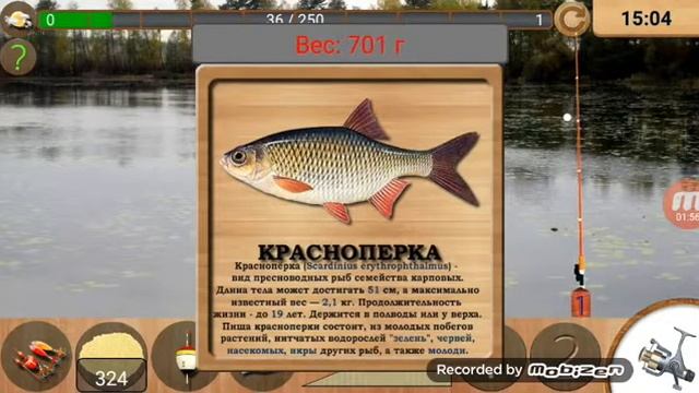 Обзор игры реальная рыбалка смотреть онлайн