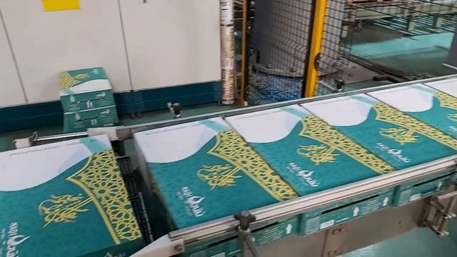 Паллетирование и упаковка паллет стрейч-плёнкой | ROBOPAC смотреть онлайн
