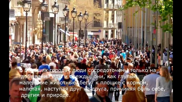 Султанов Загир (15 лет)/ ТИ смотреть онлайн