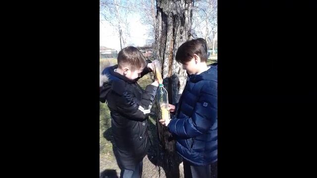 Акция "Каждой пичужке - кормушка" 2019 Волонтерский экологический отряд "ЭкоМир" АОУ СОШ №4 смотреть онлайн