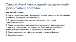 Урок 1.1 - Эпителиальные ткани. Поверхностные эпителии