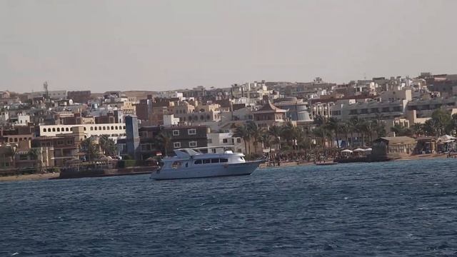 Морская прогулка Dolphin House Hurghada. Egypt. Red sea смотреть онлайн