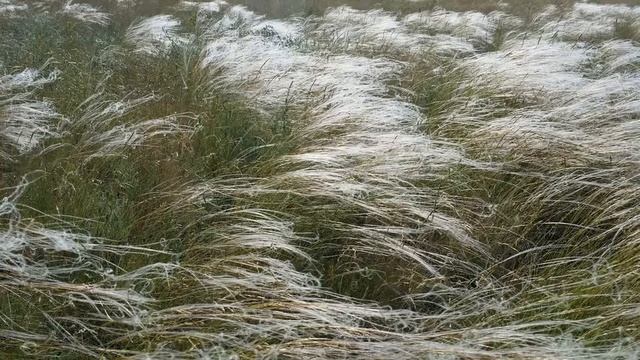 Краеведческий час, посвященный Дню образования Забайкальского края смотреть онлайн