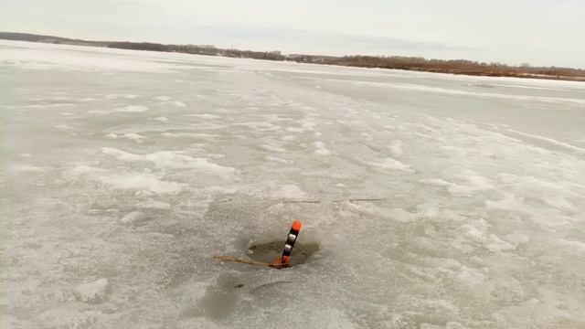 Крайняя рыбалка на зимние снасти ,неплохой улов смотреть онлайн