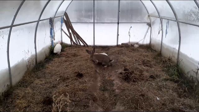 Первое знакомство с девчонками смотреть онлайн