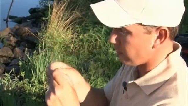 Универсальный фидер 2 смотреть онлайн