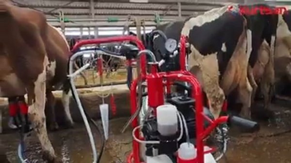 KURTSAN сут согиш апарати