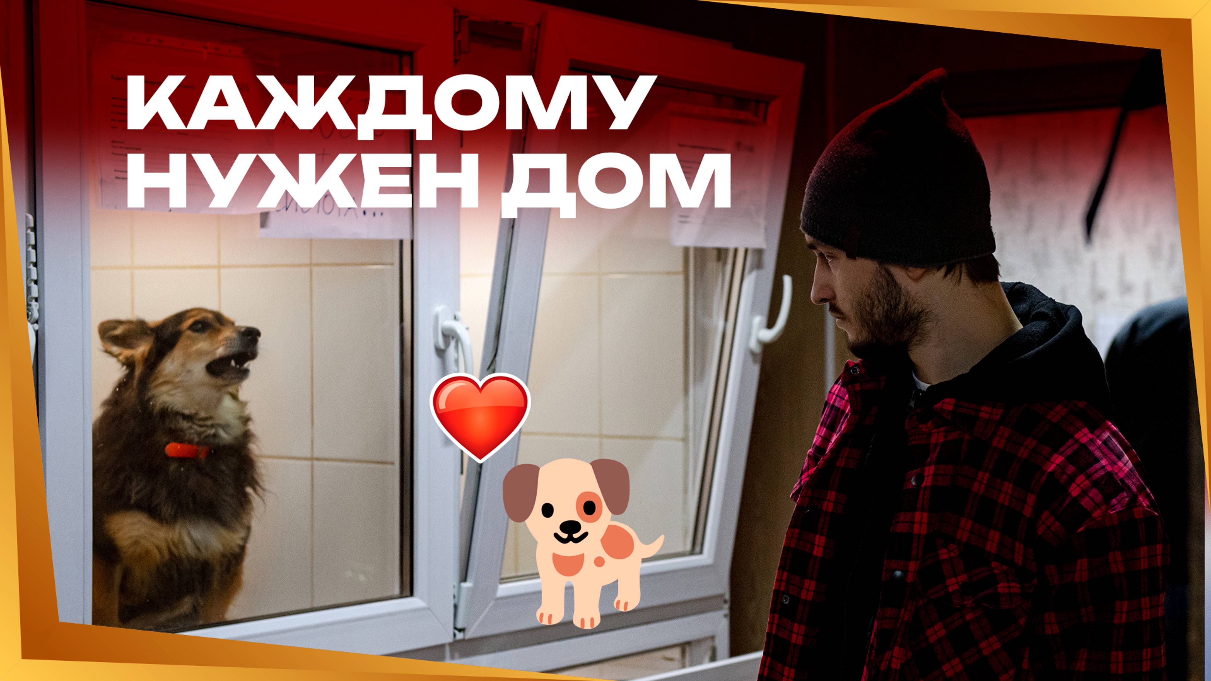 ПОМОЩЬ ОМСКИМ ХВОСТИКАМ | «Авангард» передал приюту корм | Шарипзянов, Чистяков, Мартынов | КХЛ смотреть онлайн