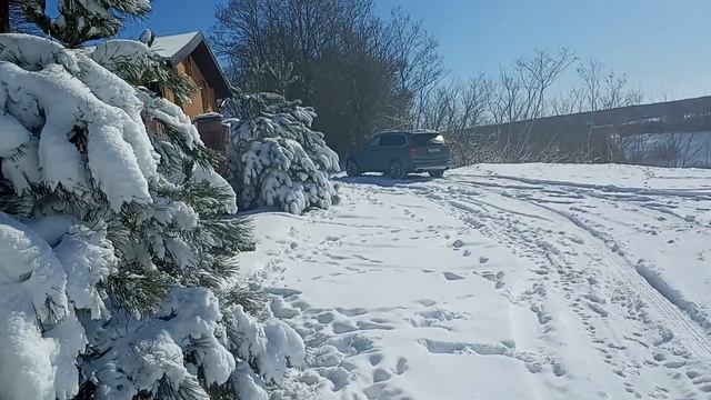 Это весна? Сюрпризы весны 30 марта г.Рогачев /Аномалии погоды/Вчера была весна/Природа лечит нервы смотреть онлайн