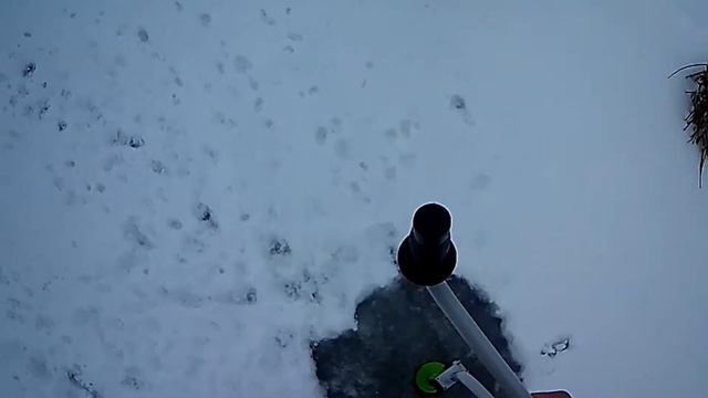 #рыбалка на льду на мормышку (за плохой погоды почти не было клёва)