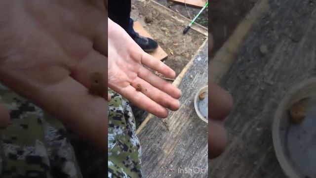 Рыбалка на кити кэт!!Карась берет! смотреть онлайн