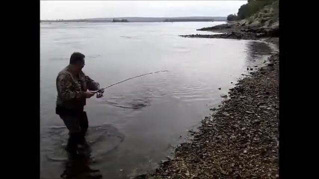 На блесну смотреть онлайн