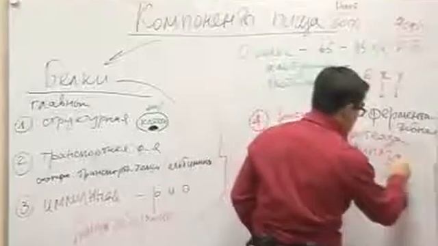 Здоровый и Активный образ жизни. смотреть онлайн