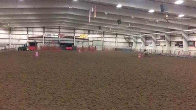 Vanna 2017 futurity hopeful first time away from home смотреть онлайн