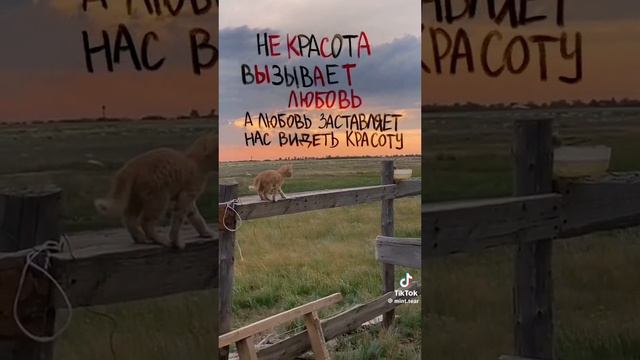 стоит задуматься 😉😄 смотреть онлайн